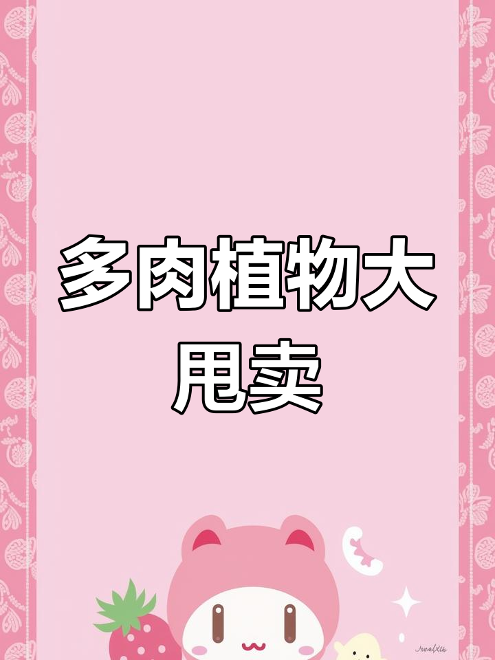 云南路边多肉植物,颜色鲜艳又便宜,捡回去送给大家