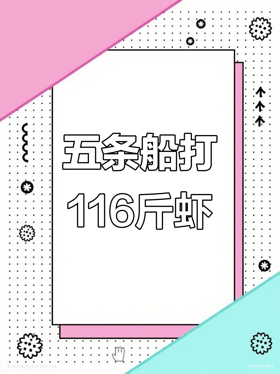 烟台王鲜生大丰收,五条船捕捞116斤花豹夹板虾