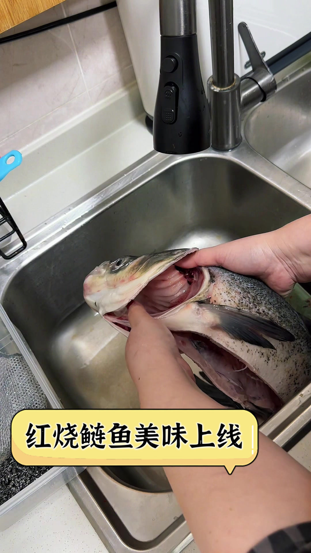 红烧鲢鱼美味上线