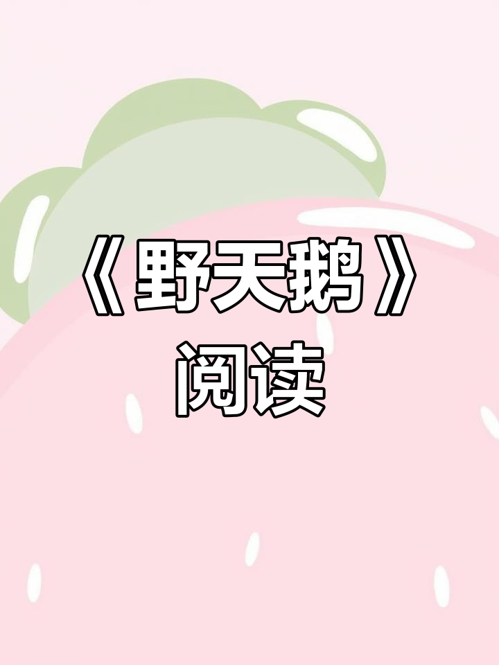 英语绘本《野天鹅》朗读分享