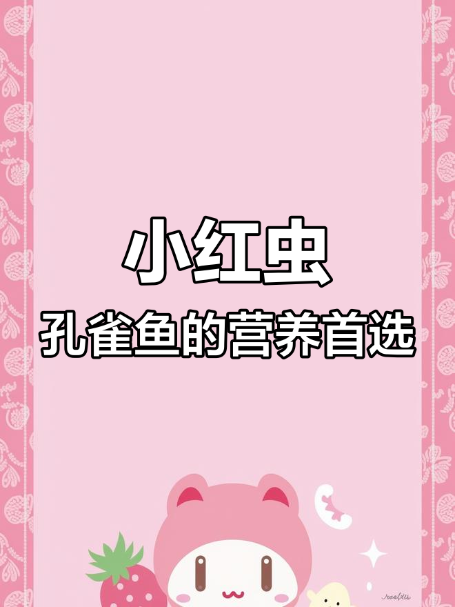 孔雀鱼吃什么最合适?小红虫让小鱼长得快又健康