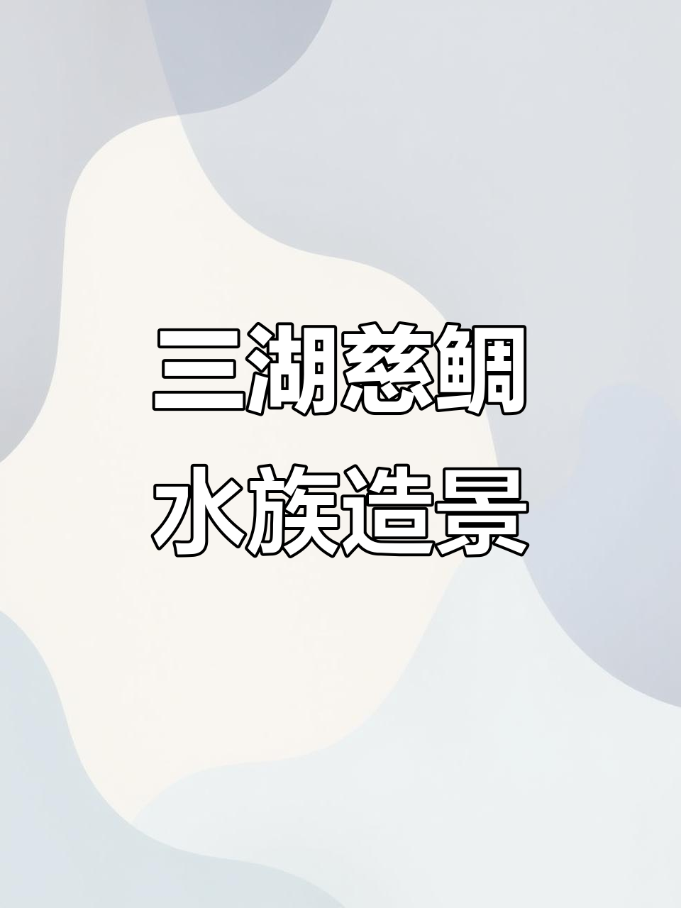 鱼缸里的热带雨林,三湖慈鲷与白沙造景的完美融合