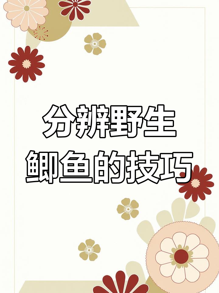 如何区分野生大板鲫与养殖鱼