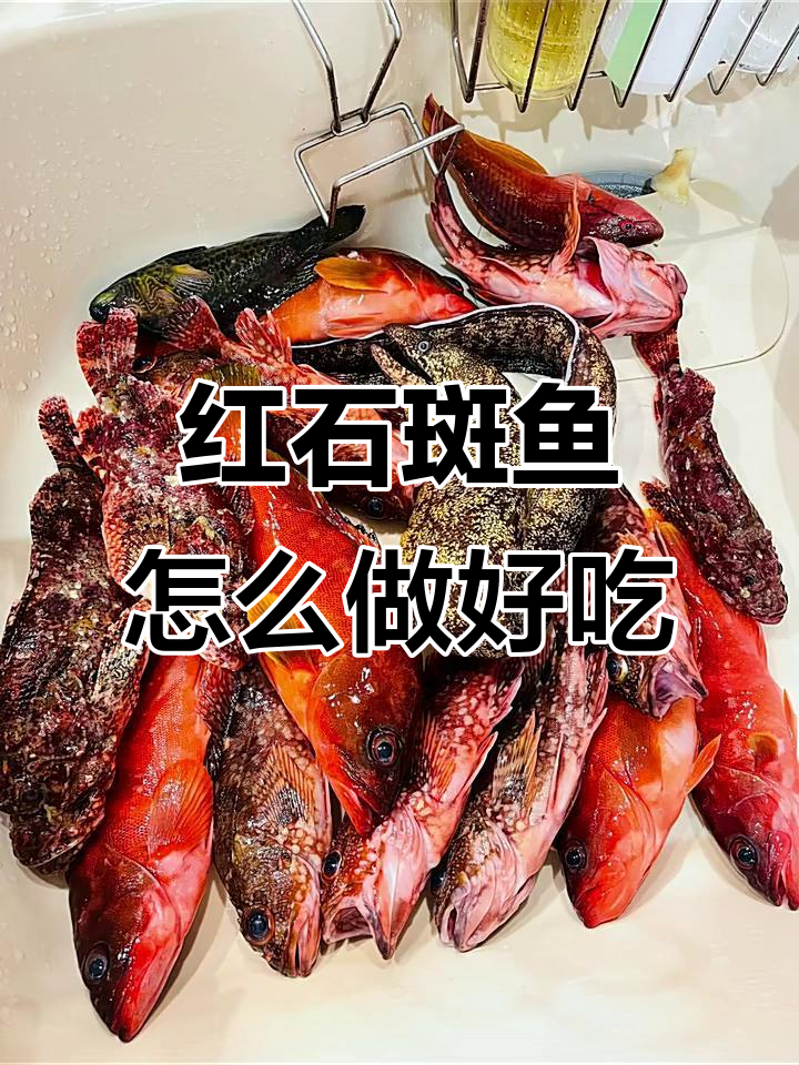红石斑鱼怎么做才最美味?教你简单又好吃的做法