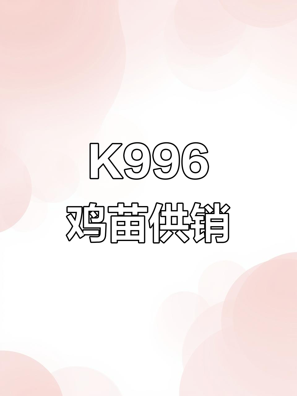 广西本地K996鸡苗大量供应,当天出苗当天发货