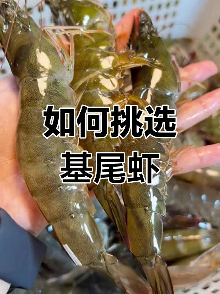 基围虾与螺蛳虾的区别解析