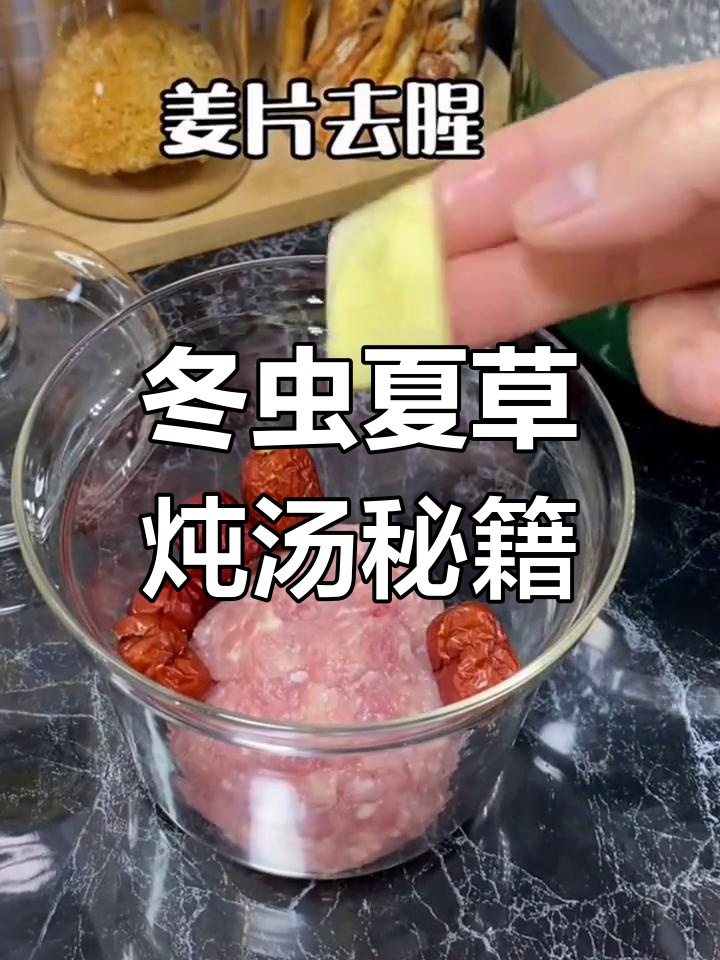 冬虫夏草季节,新鲜干品皆宜炖汤,收藏备用!