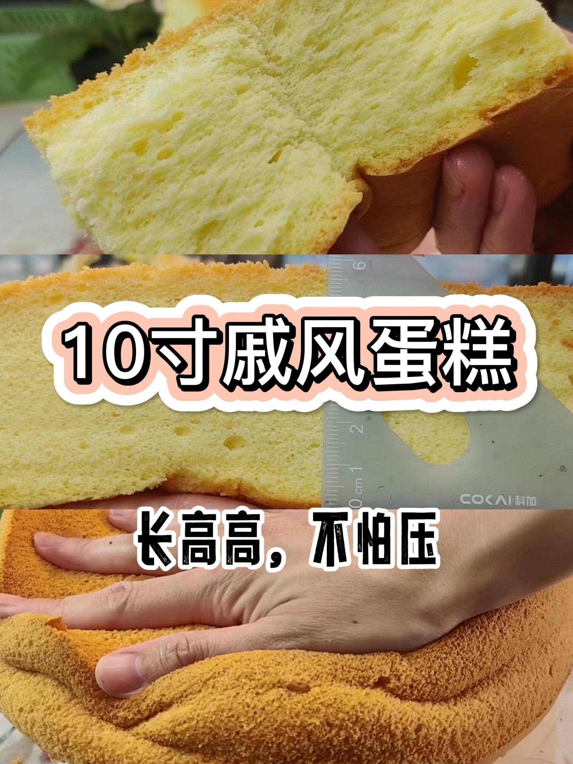 长高高|不塌腰「10寸戚风蛋糕」精选配方