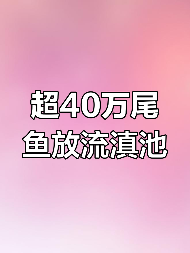 滇池放流超40万尾金线鲃和银白鱼,保护土著鱼类行动震撼开启