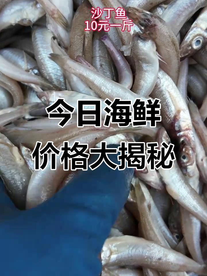 1月15日汾水海鲜市场行情，沙丁鱼到干虾米价格一览