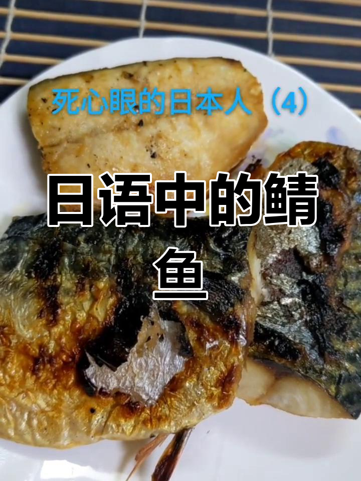 这条鱼日语叫サバ,中文是鲭鱼
