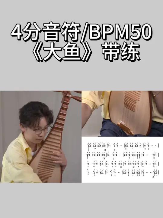 《大鱼》带练 预备备！节拍器50！开始练习！争取拿下每周一首流行曲琵琶琵琶流行曲琵琶流行曲