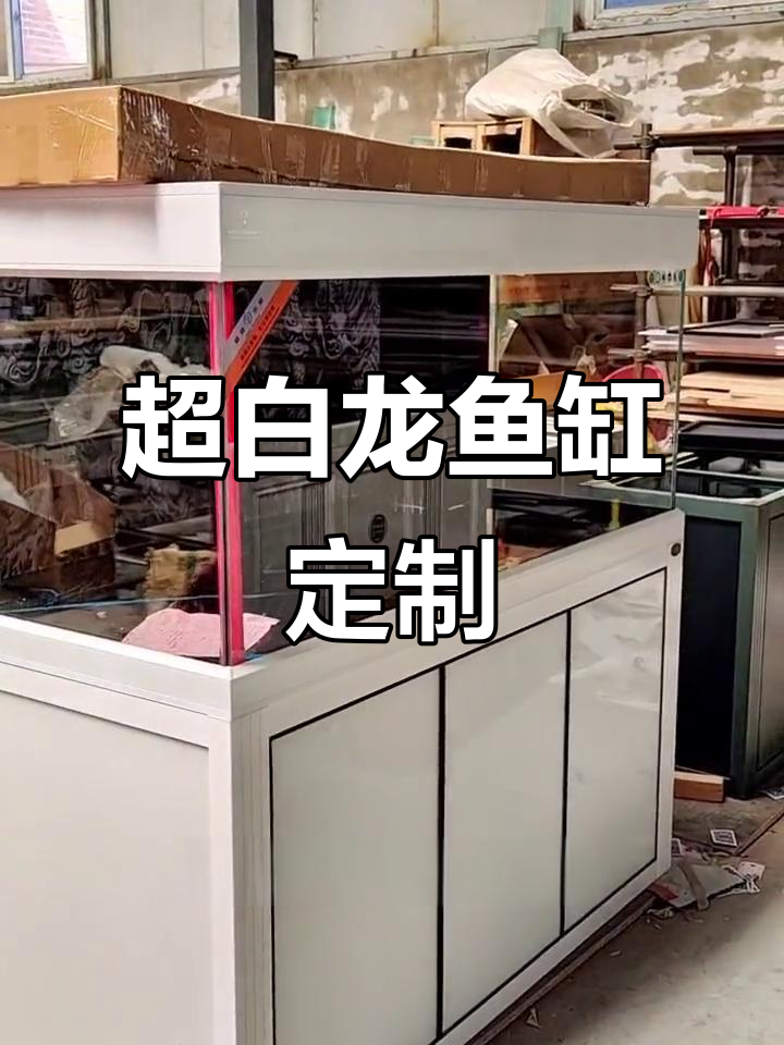 定制龙鱼缸，超白玻璃与底滤系统完美结合