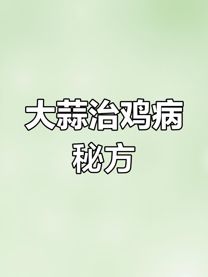 大蒜与多种食材搭配,助力鸡群健康