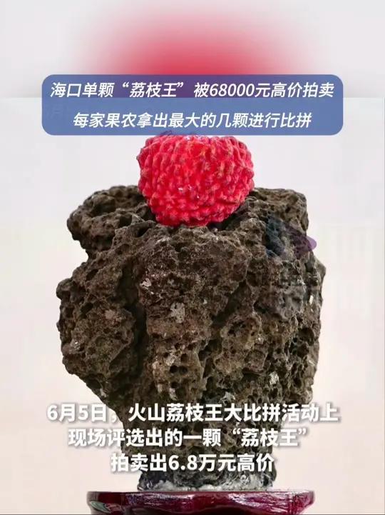海口单颗荔枝王被拍出六万八高价 6月5日,海南海口。在火山荔枝王大比拼活动上,一颗87.6
