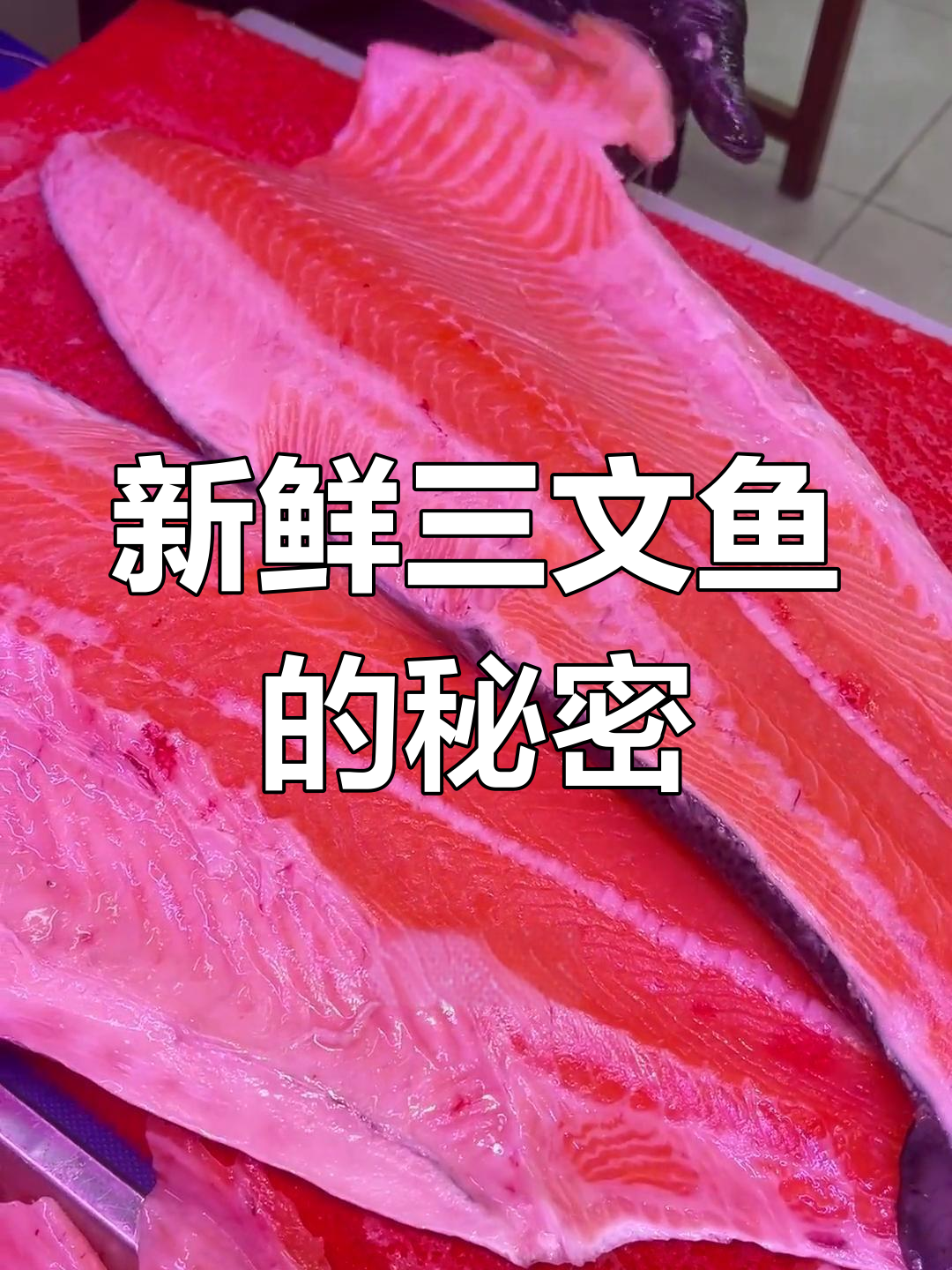 三文鱼刺身真相:价格与品质大揭秘