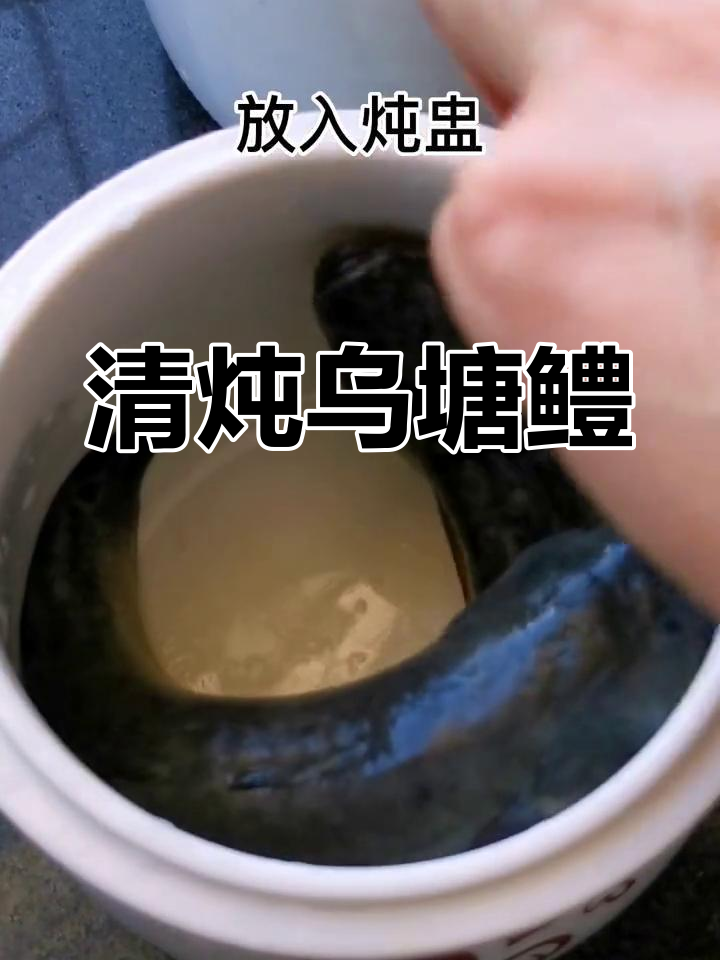 乌塘鳢:凶猛肉质鲜嫩,清炖滋补