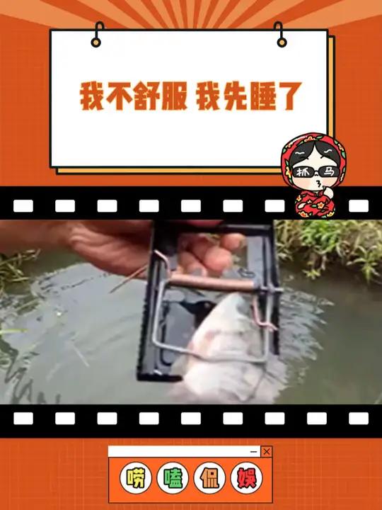 空军佬:旁门左道 钓鱼 大数据推荐给有需要的人 震惊