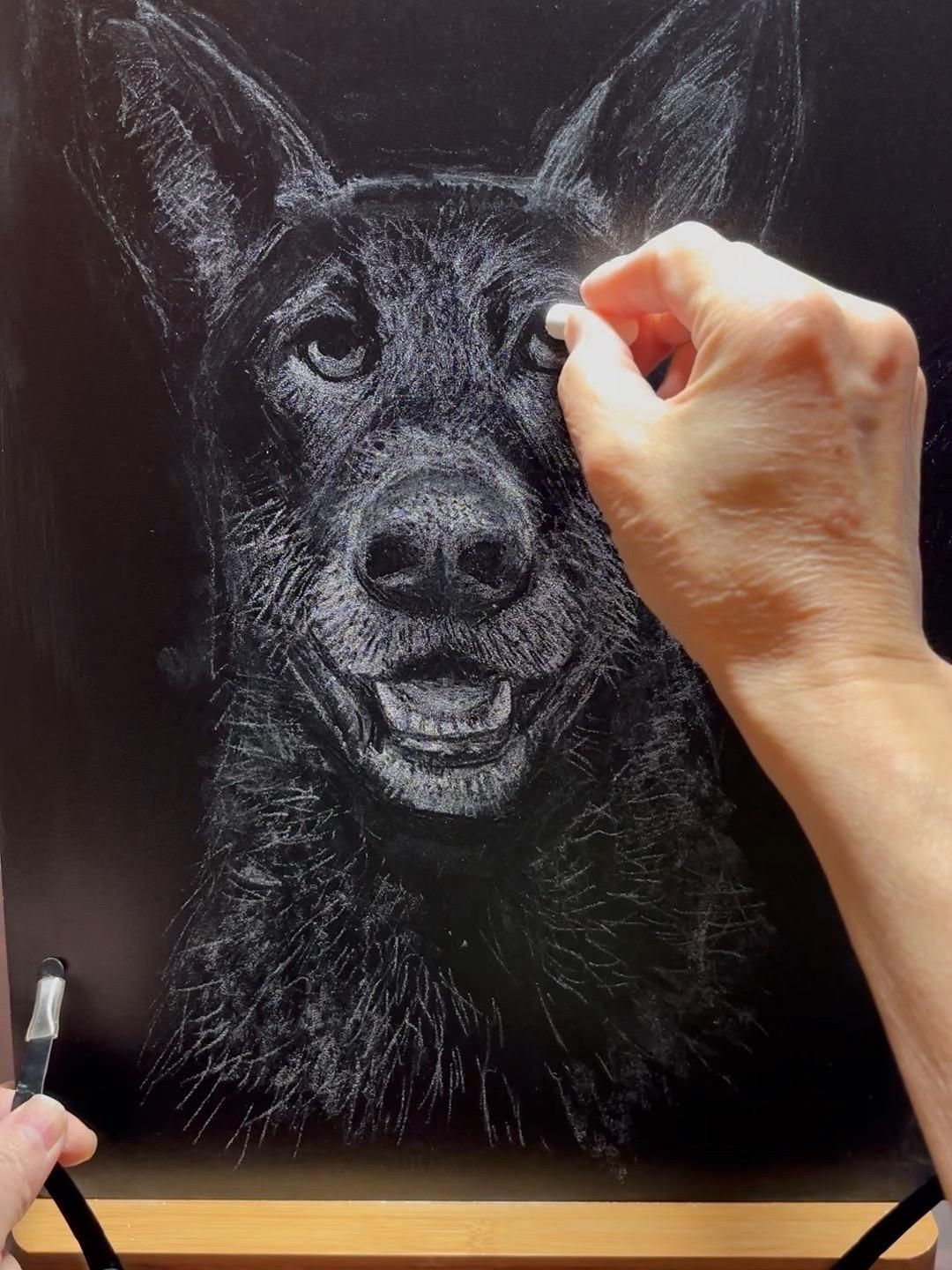 黑板粉笔画动物 想画就画 有趣的创意 黑板画