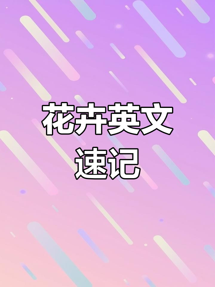 常见花卉英文大揭秘:玫瑰、郁金香到仙人掌