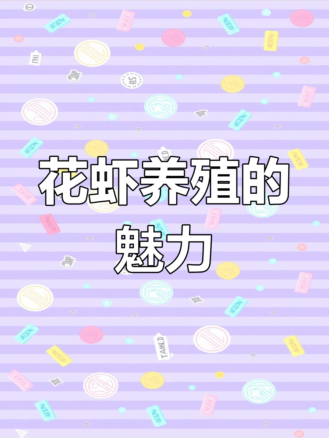 养过花虾后,其他品种都不想再养了