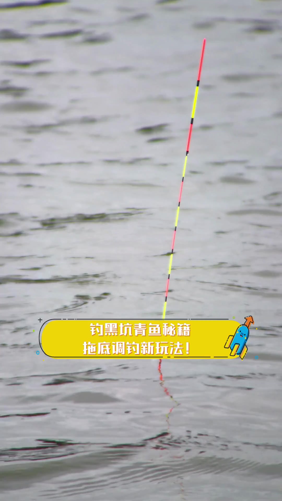 钓黑坑青鱼秘籍,拖底调钓新玩法!