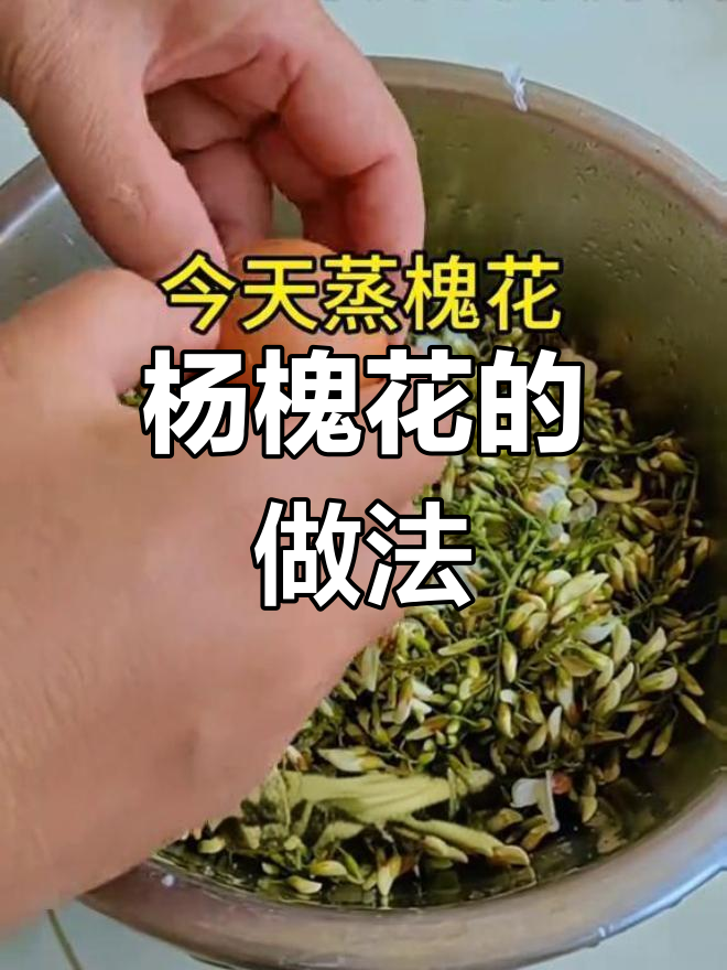 蒸槐花,简单又美味