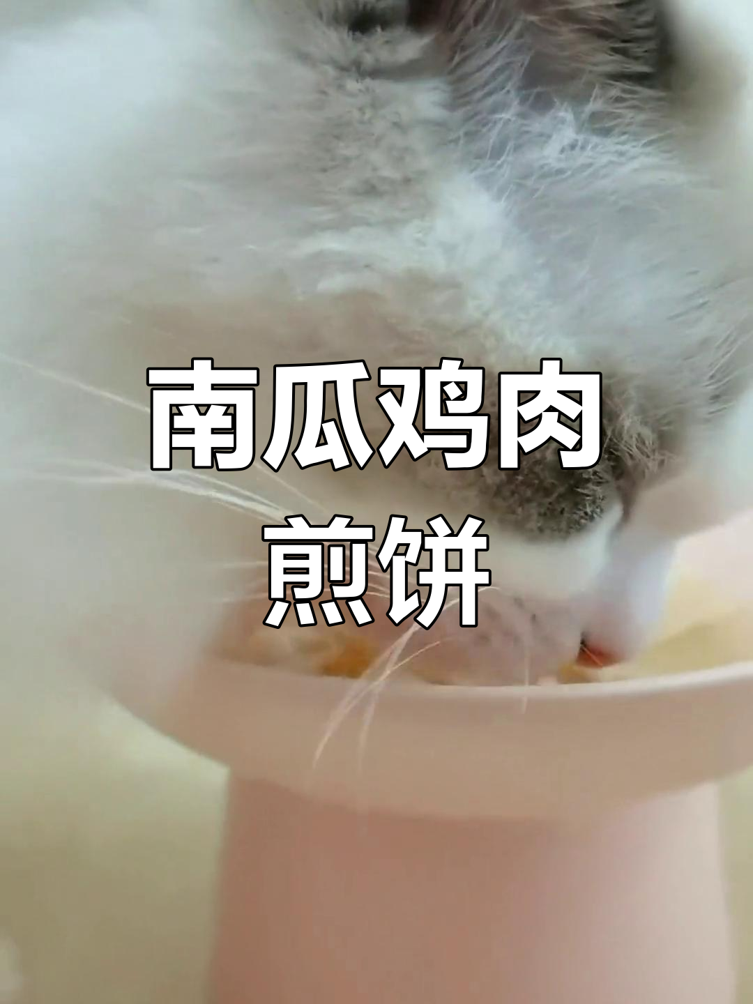 轻松做南瓜鸡胸肉饼