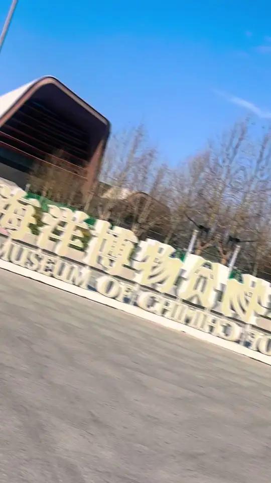 国家海洋博物馆号称海上故宫,可以看到数亿年前的恐龙化石,还能欣赏到美人鱼鲨鱼共舞,能吃到网