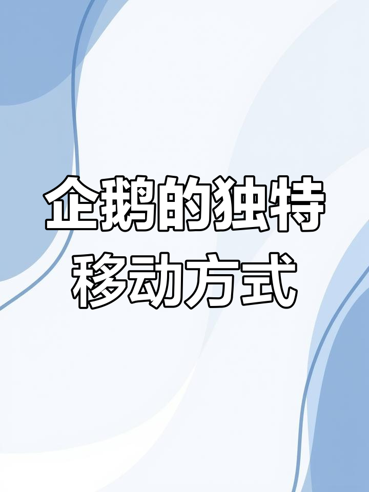 企鹅滑行前进,既省力又快速!