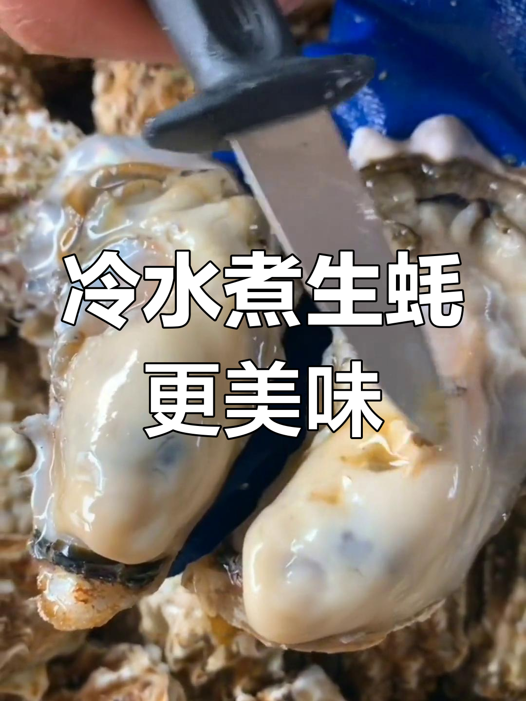 生蚝太肥了,冷水煮才是最好吃的做法!