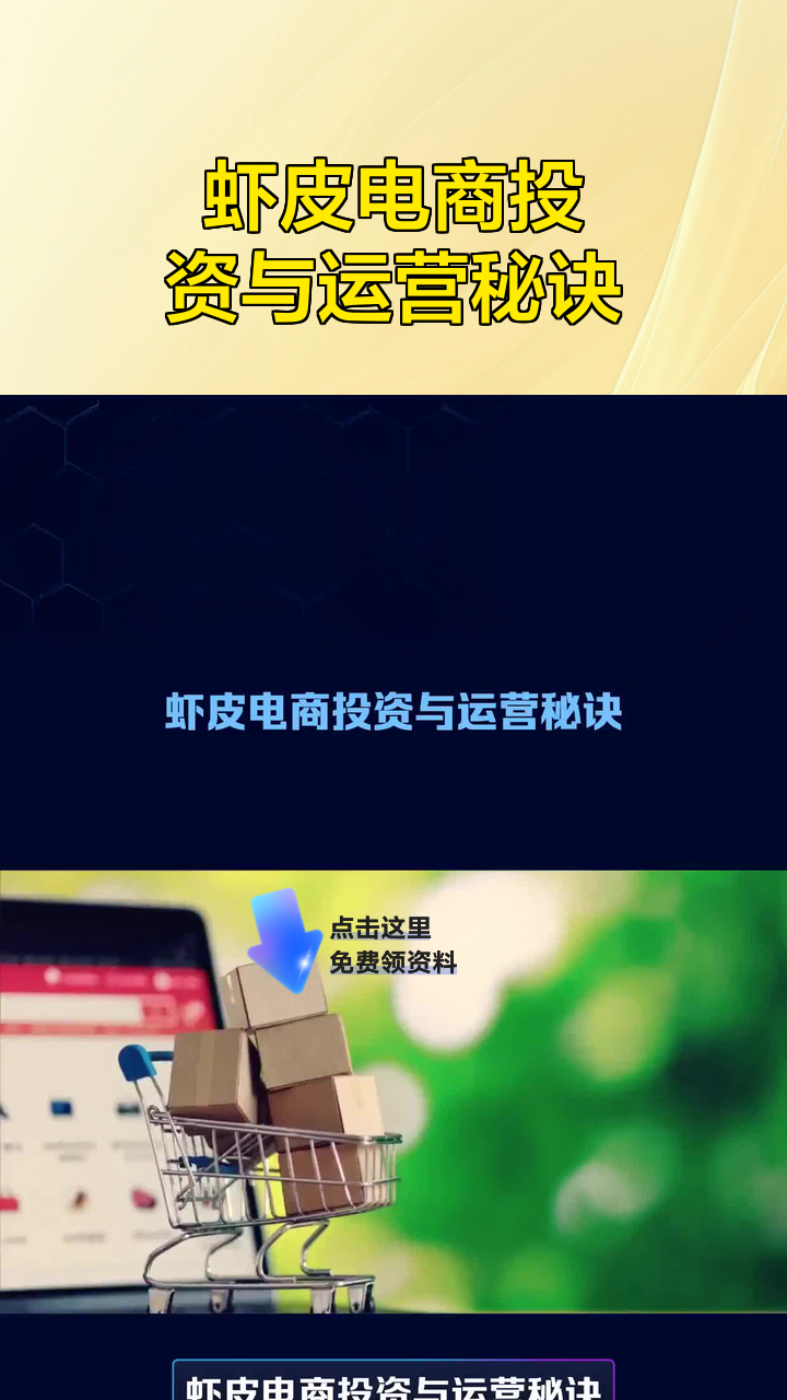 虾皮电商投资与运营秘诀