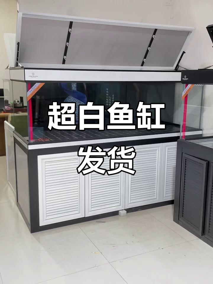 辽宁凌源发货,2米长70宽黑白套色龙缸超白玻璃设计