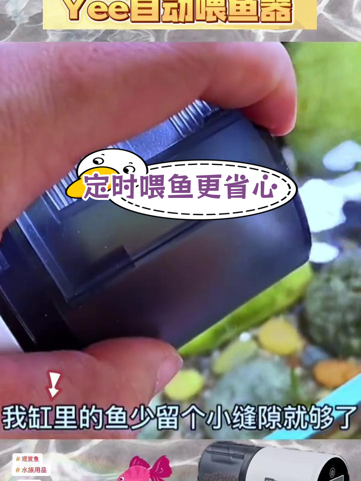自动喂食器,让鱼随时有饭吃