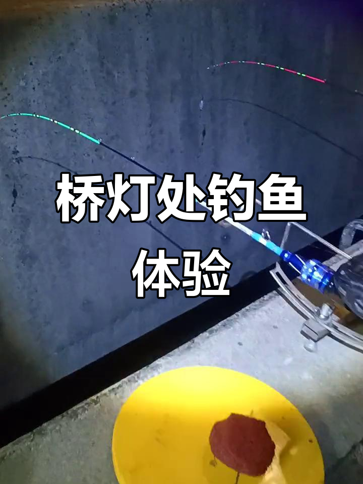 桥筏钓鲫鱼，鲤鱼也能轻松搞定