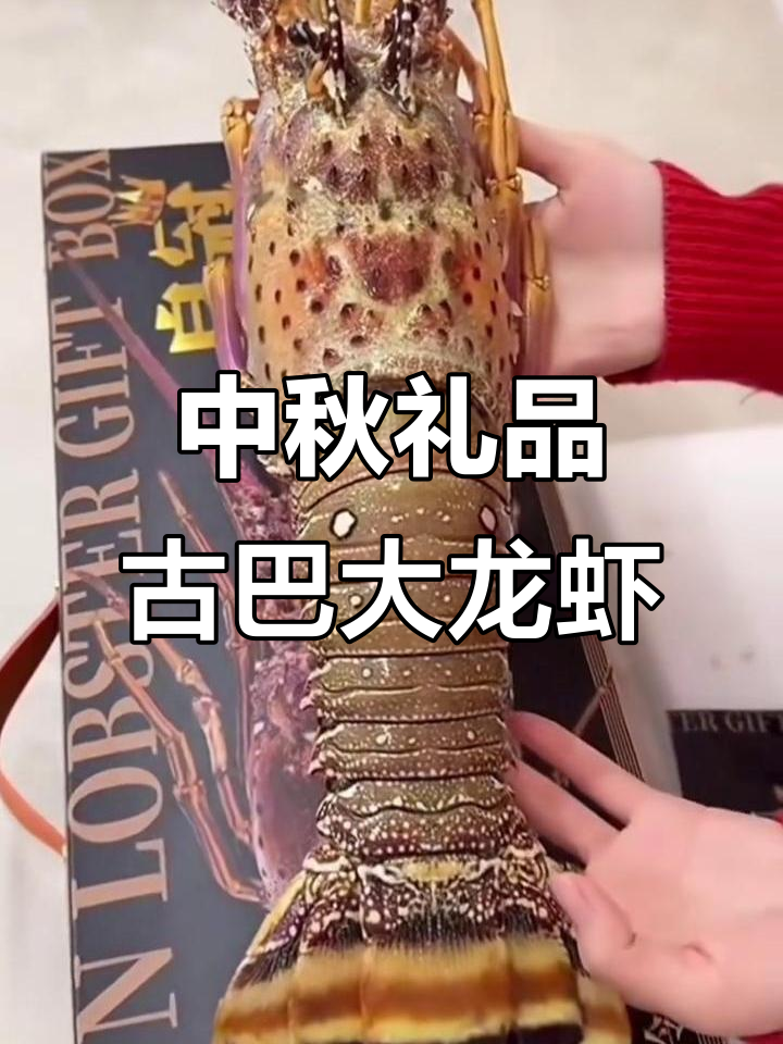 古巴深海大龙虾,中秋送礼必备!鲜活冷冻海鲜超推荐