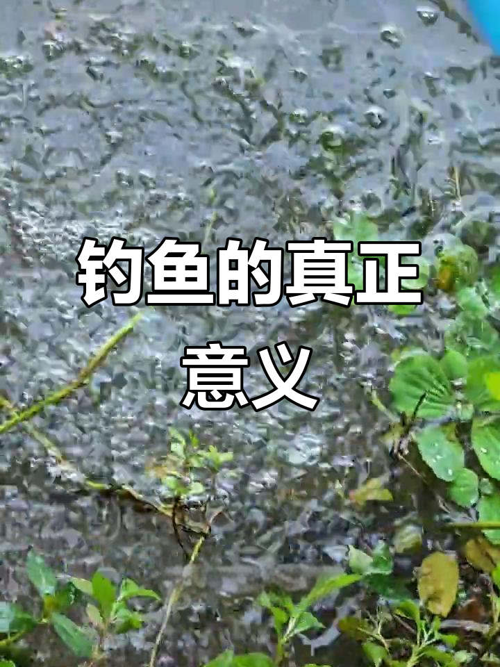 钓鱼是为了乐趣还是目标?空手而归时,热情还能维持吗?