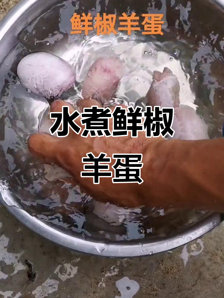 鲜椒羊蛋水煮新做法,辣味十足!