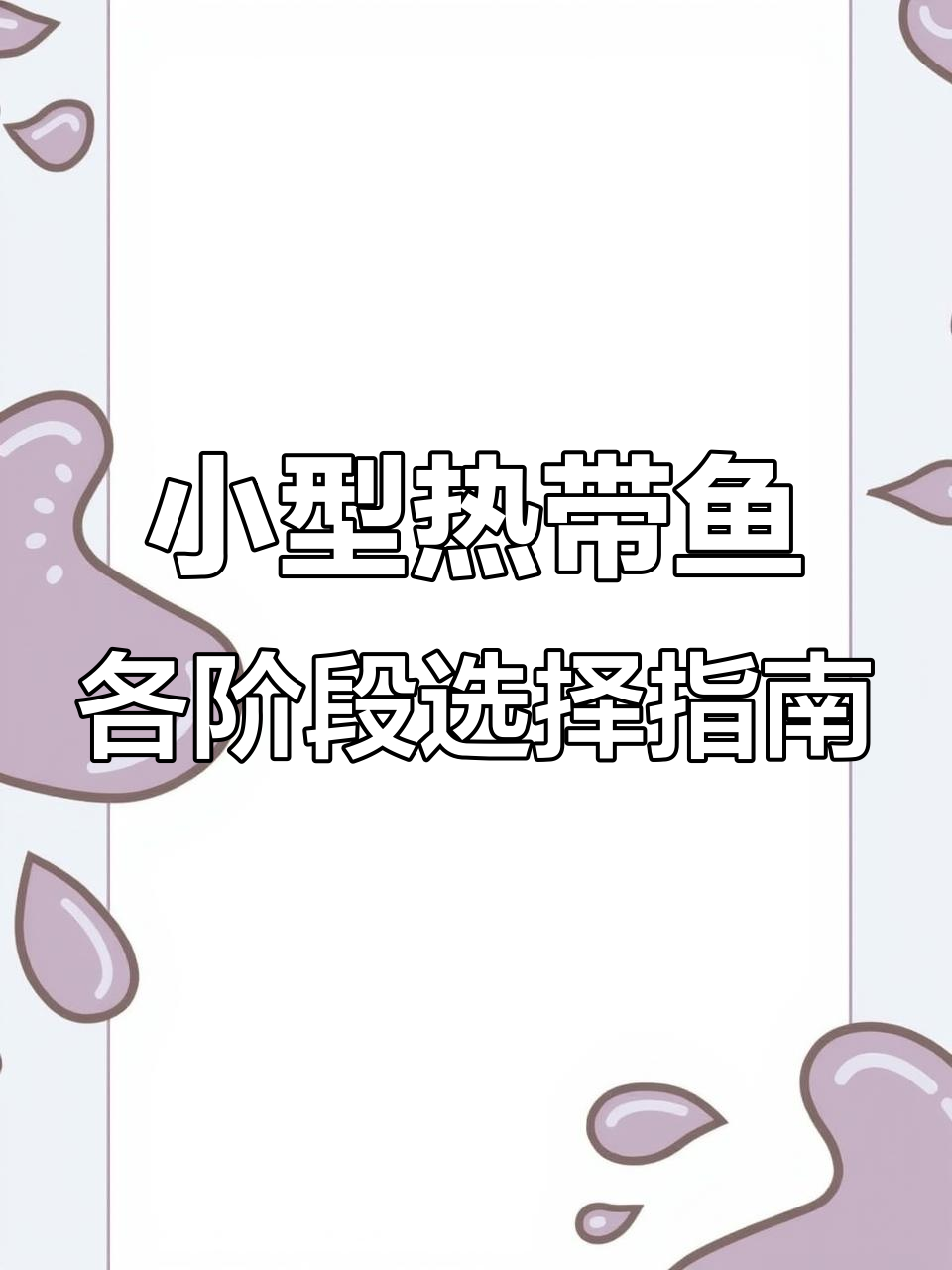 挑选不同阶段的小型热带观赏鱼，从鱼苗到成年的养殖技巧