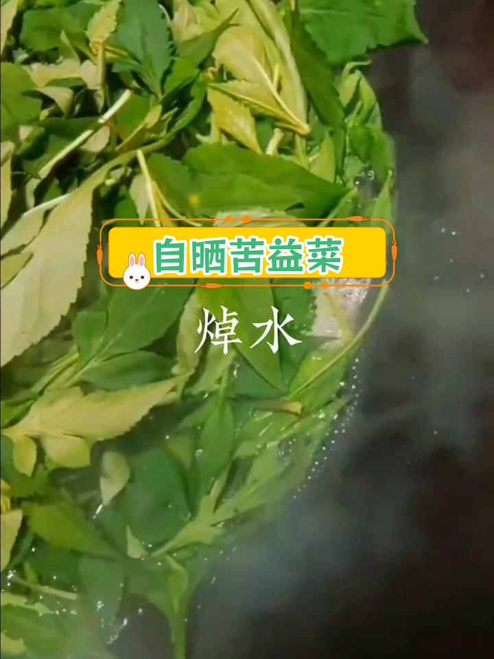 野生苦益菜干制作方法,煮大肠头有益
