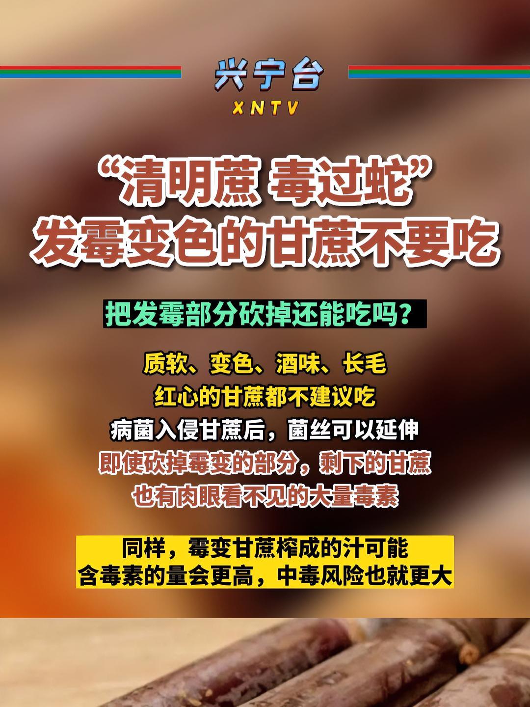 “清明蔗 毒过蛇”!发霉变色的甘蔗不要吃 甘蔗 甘蔗发霉 清明蔗