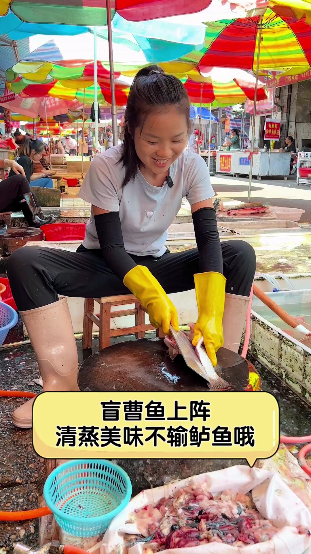 盲曹鱼上阵,清蒸美味不输鲈鱼哦