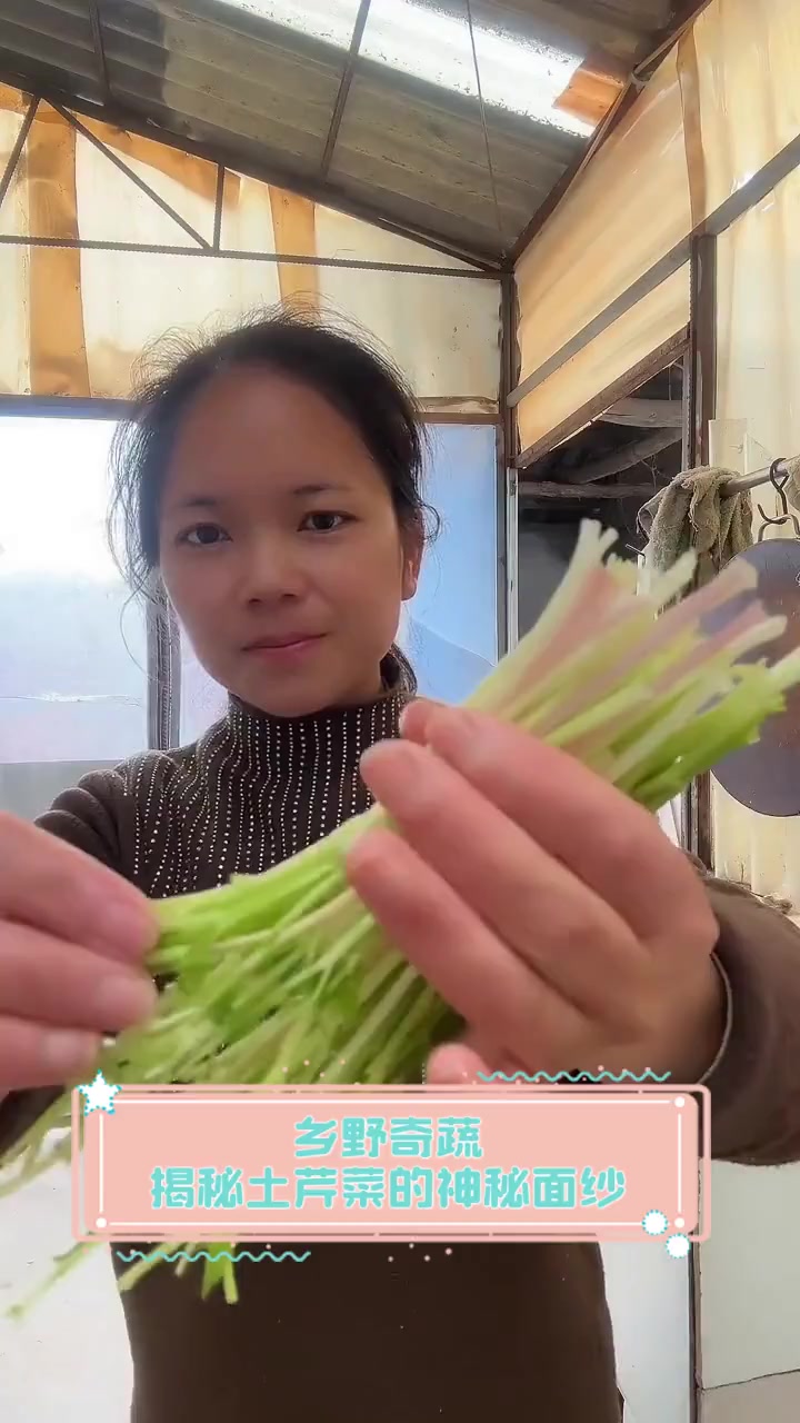 乡野奇蔬,揭秘土芹菜的神秘面纱