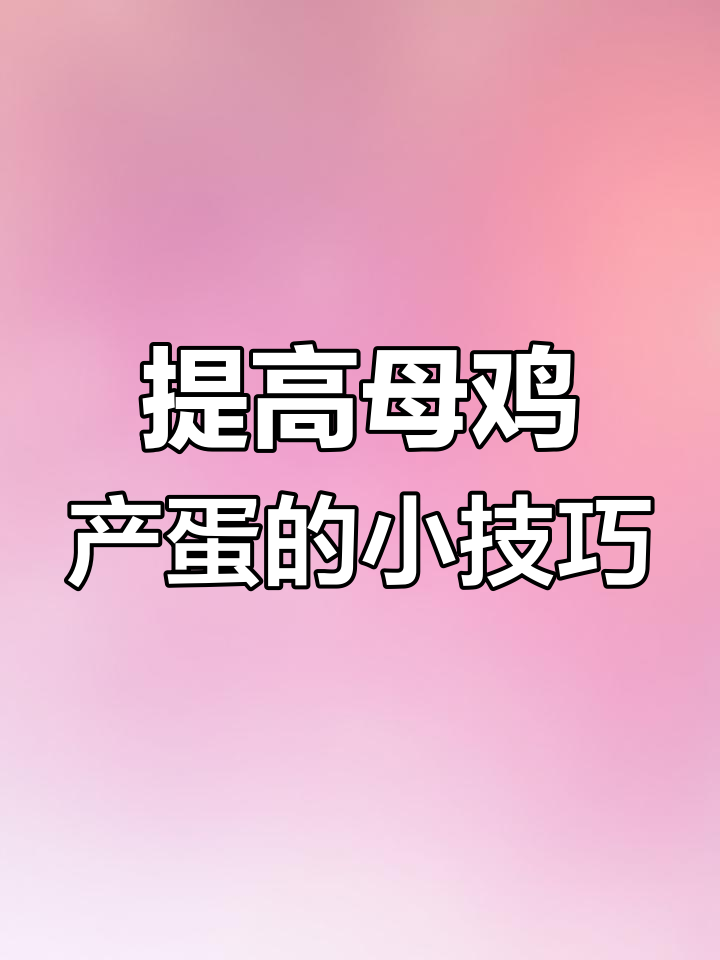 母鸡不下蛋?试试这个方法提高产蛋率