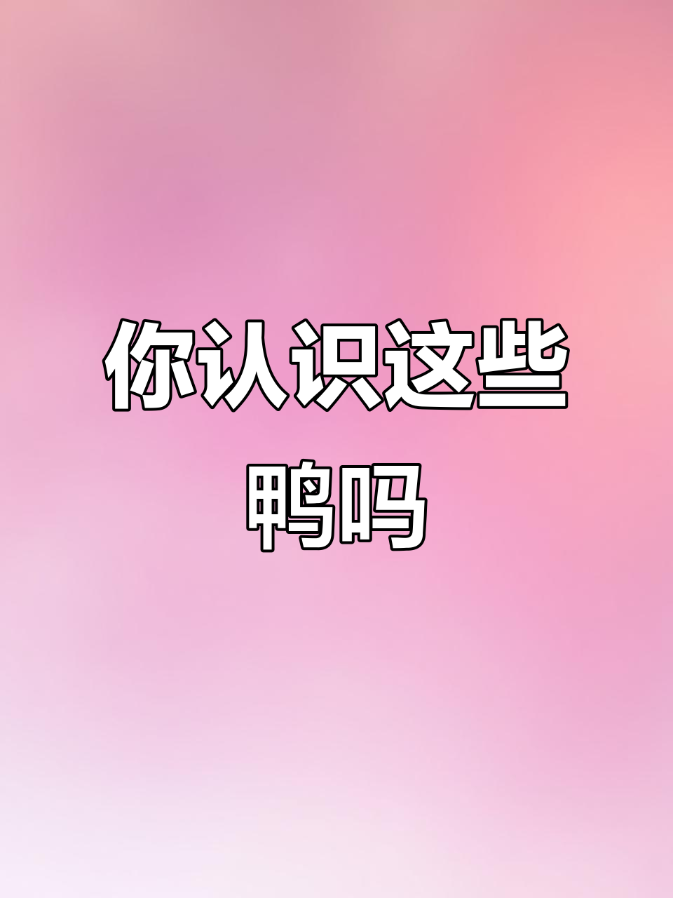 10种不同品种的鸭子，你了解吗？
