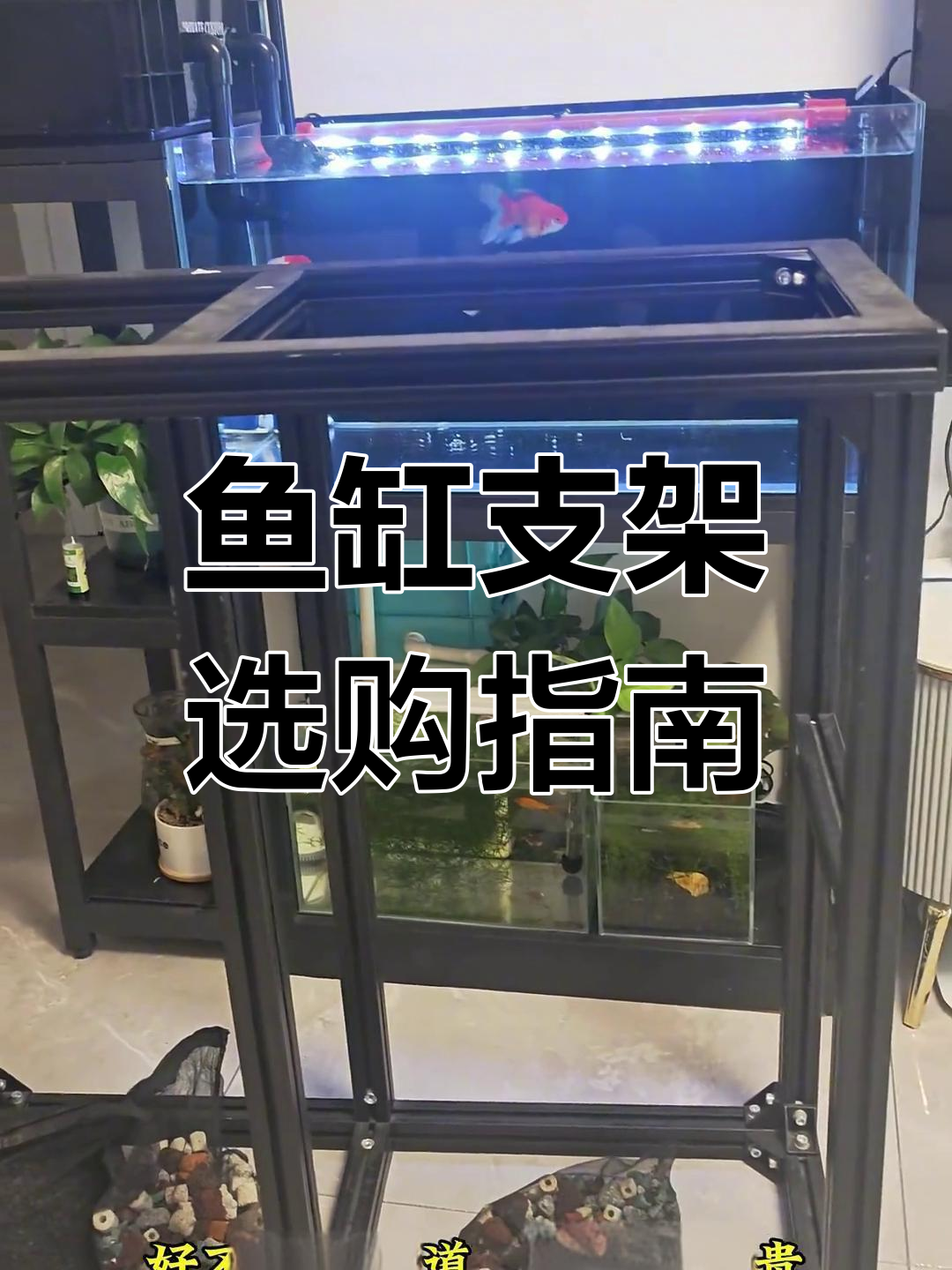 鱼缸支架选择有窍门,铝型材性价比高,实木也能凑合