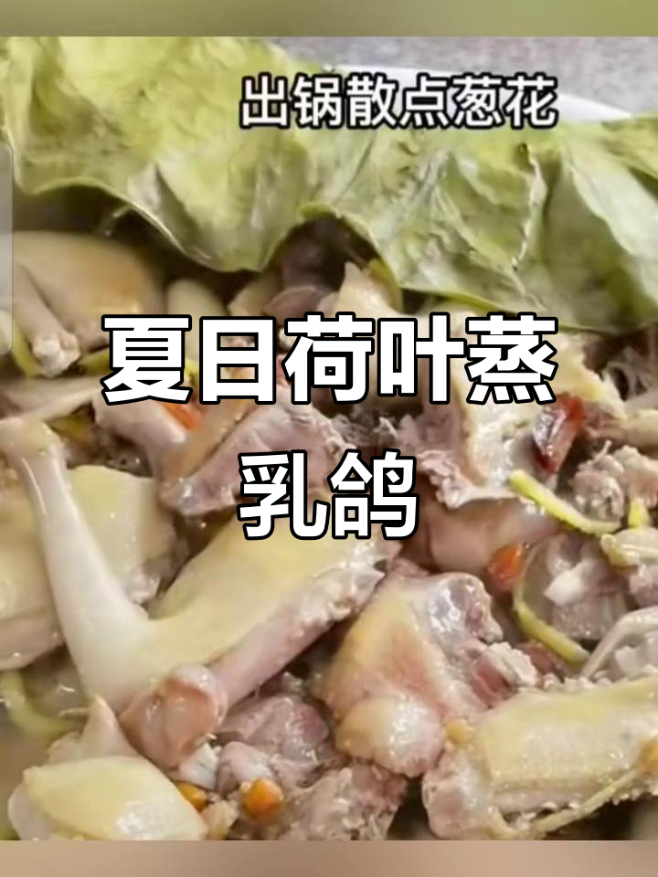 夏季荷叶蒸乳鸽,健康养生新选择