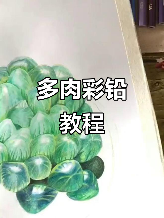 彩铅画多肉植物步骤详解，轻松学会！