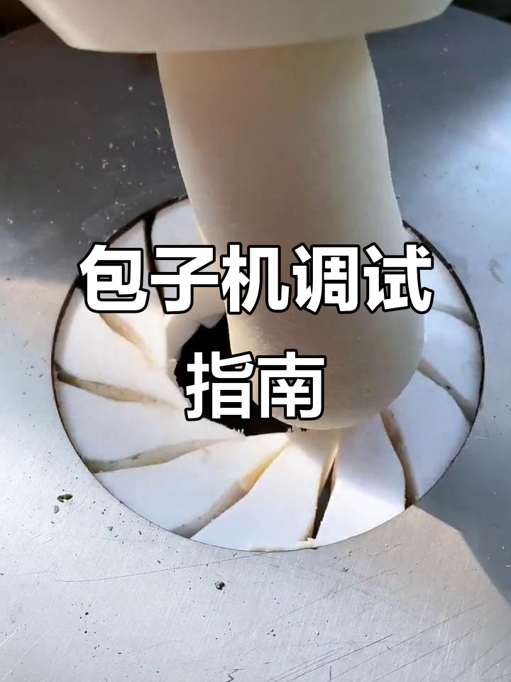 全自动包子机调试与操作教程,轻松掌握关键技巧