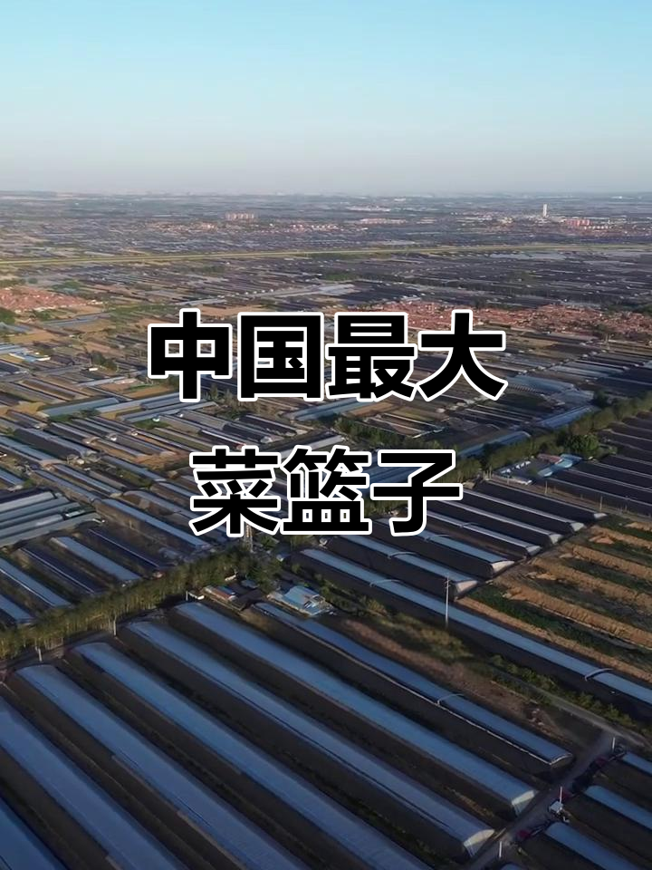 山东寿光:中国最大菜篮子,蔬菜运往全球